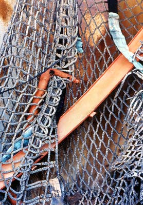 ������ ������