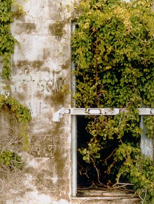 ������ ������