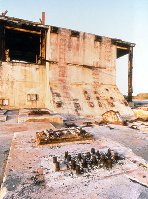 ������ ������