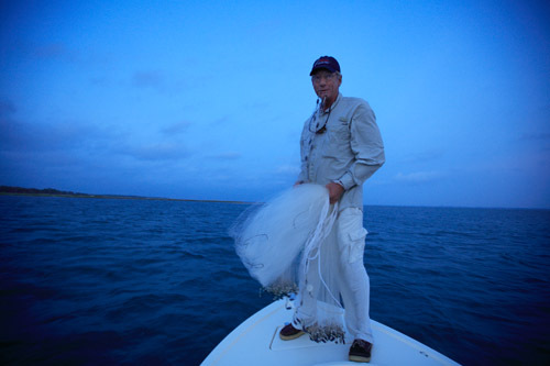 ��� ����� - ���������� �� ������� �����