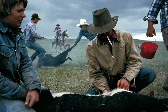 ��� �����