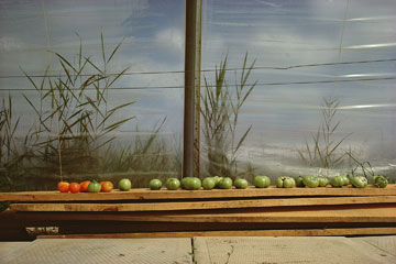 ��� �����