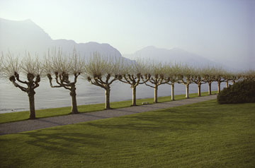 ��� �����