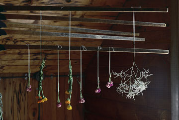 ��� �����