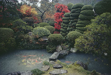 ��� �����