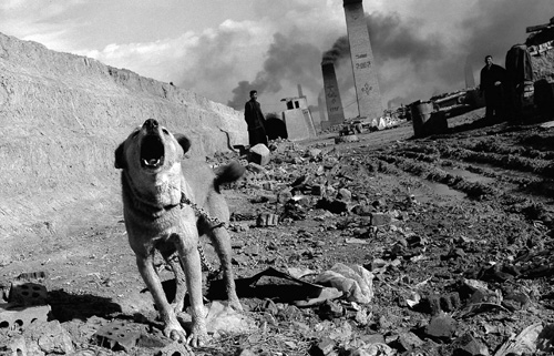 ������ ����������