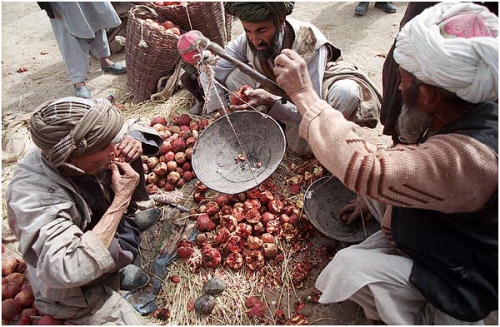 ������ ����������