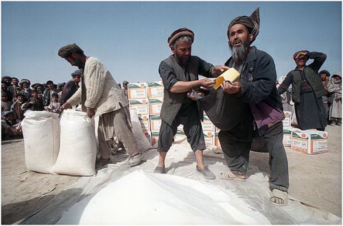 ������ ����������