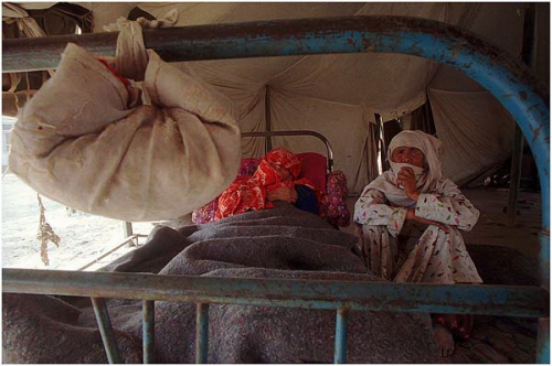 ������ ����������