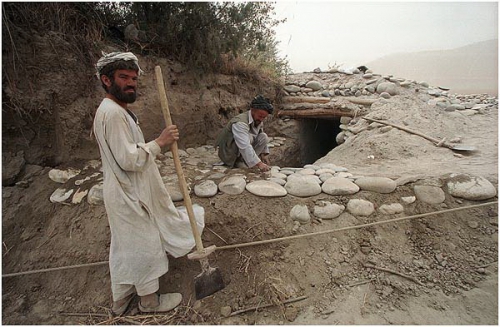 ������ ����������