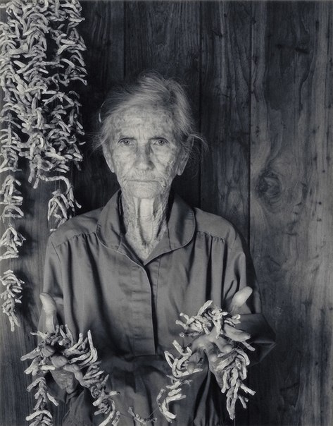 ����� �� �����