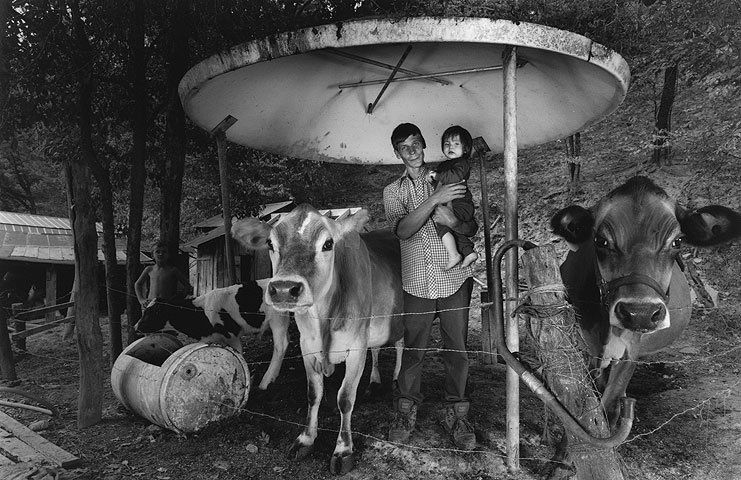 ����� �� �����