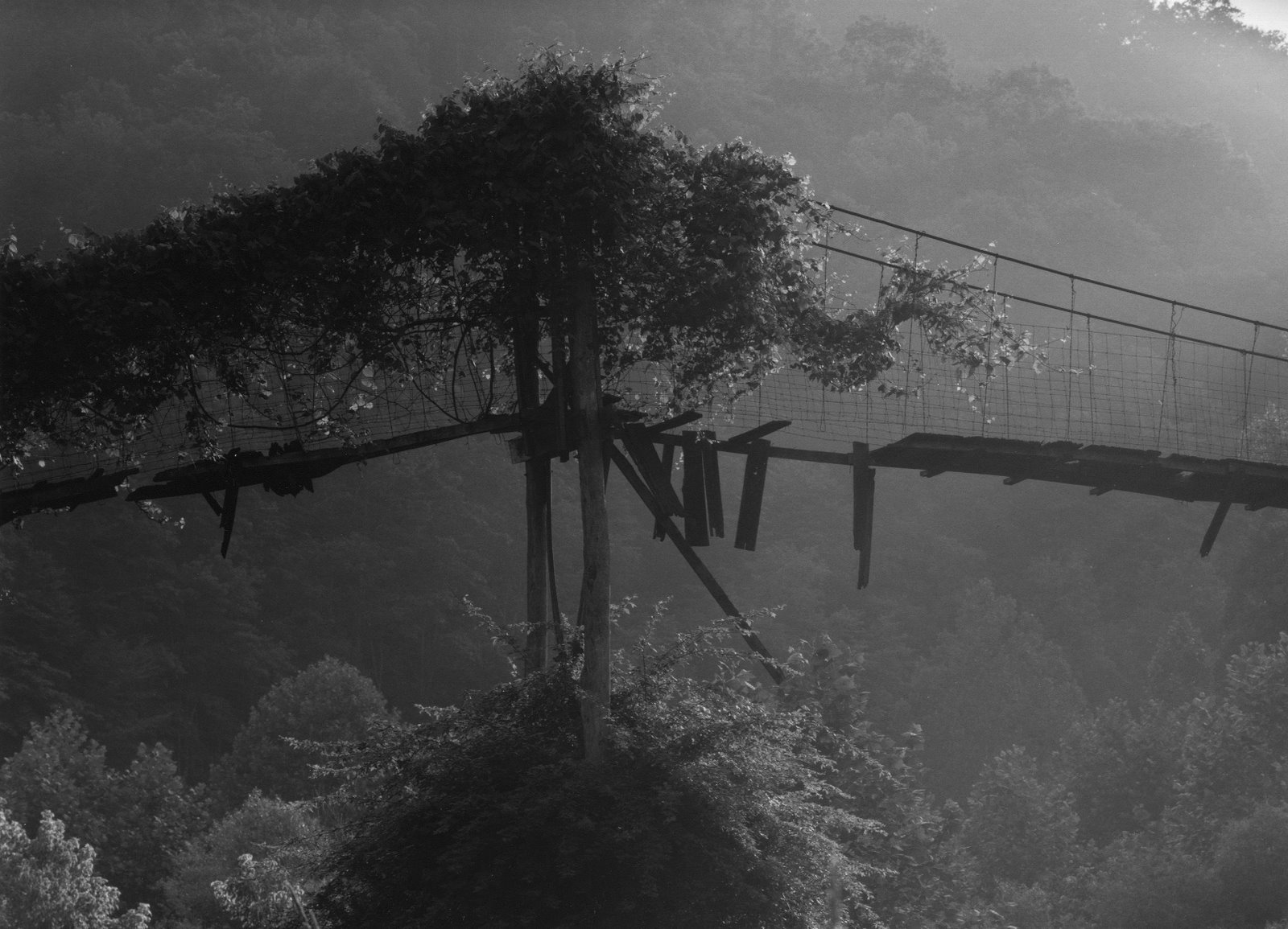 ����� �� �����