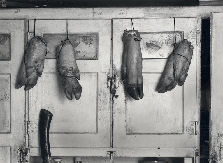 ����� �� �����