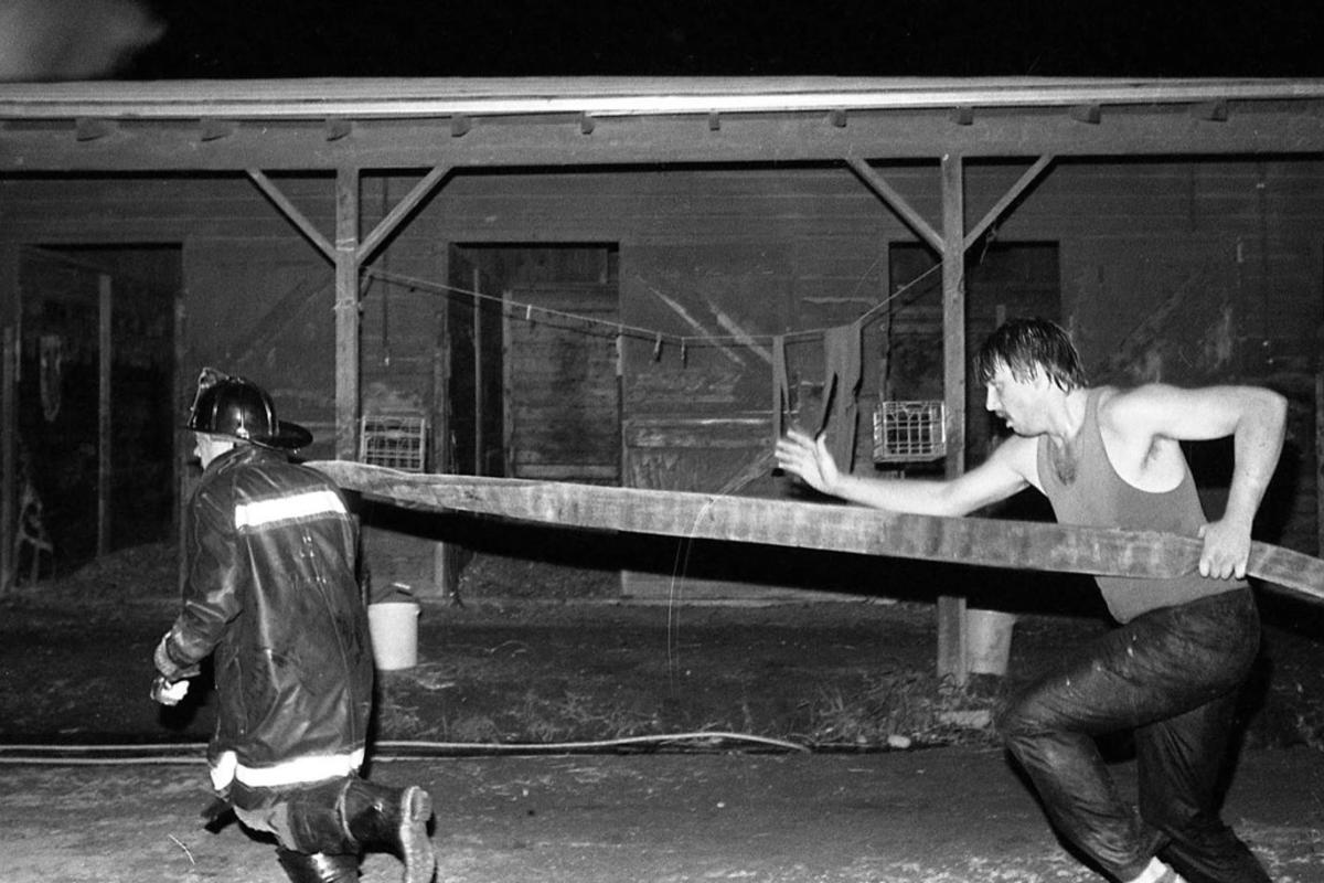 ������ ������