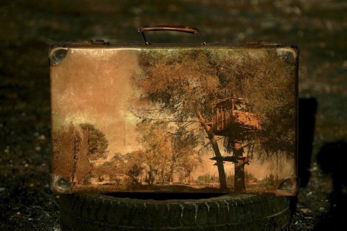 ����� ����