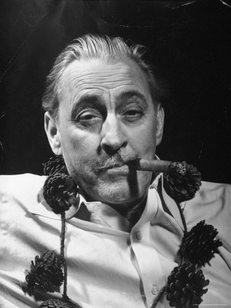 ���� ��������