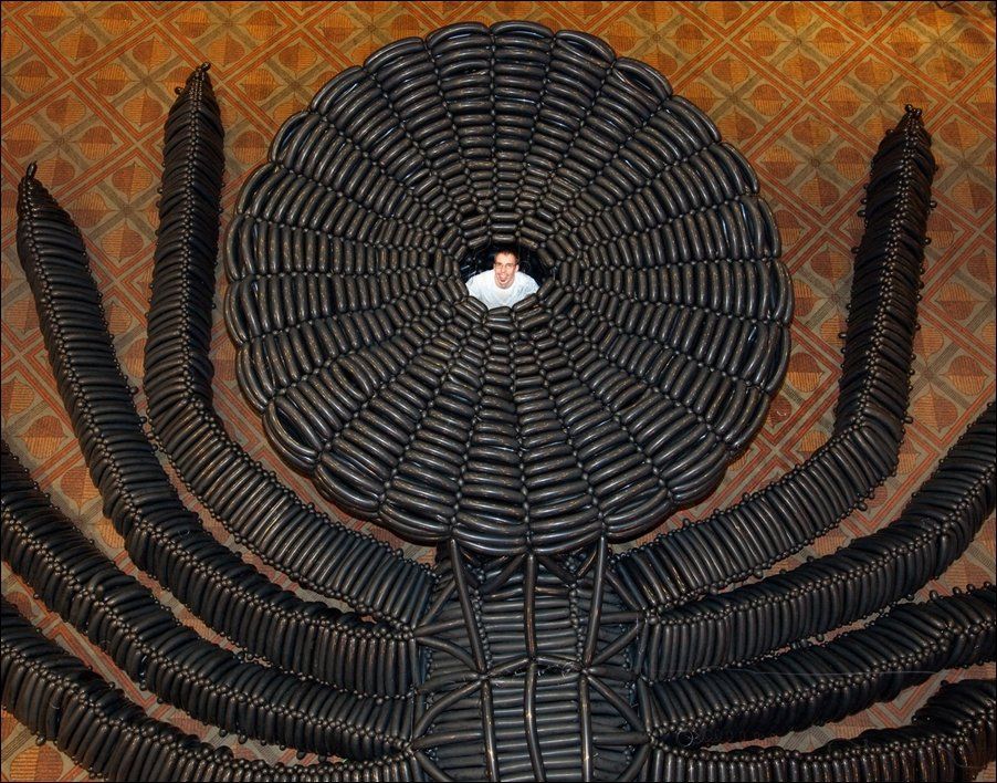 ���� �� - ���������� �� ������� �����