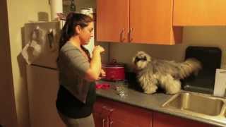 ��� ���� ���