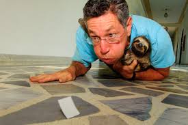 ������ ������ - ���������� �� ������� �����