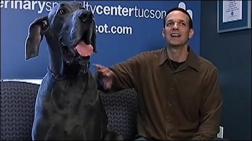 ����� ������ - ���������� �� ������� �����