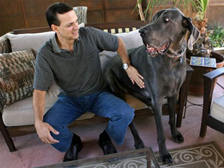 ����� ������ - ���������� �� ������� �����