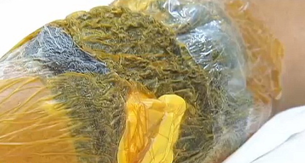 ���� ����� - ���������� �� ������� �����