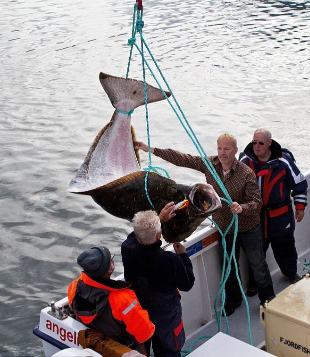 ������ ������� - ���������� �� ������� �����