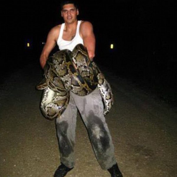 ������� ���� - ���������� �� ������� �����