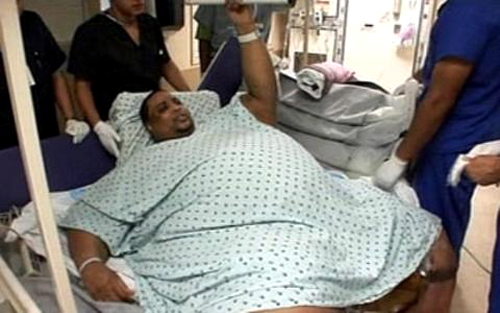 ������ ������ - ���������� �� ������� �����