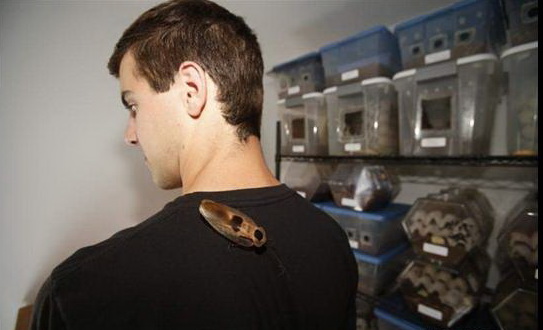 ���� ��������� - ���������� �� ������� �����