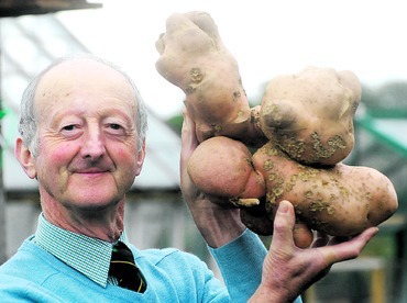 ����� ��������� - ���������� �� ������� �����