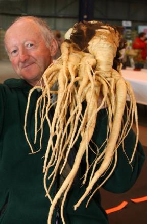 ����� ��������� - ���������� �� ������� �����