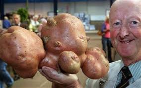 ����� ��������� - ���������� �� ������� �����