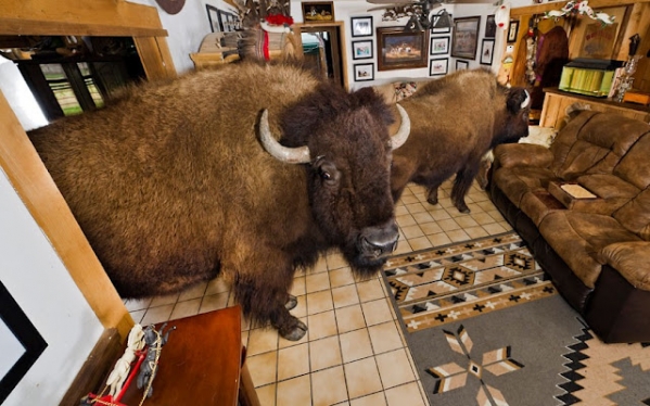 �� �� �������