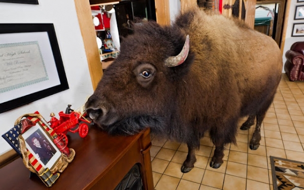 �� �� �������