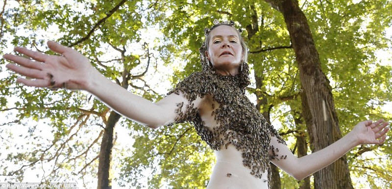 ���� ������� - ���������� �� ������� �����