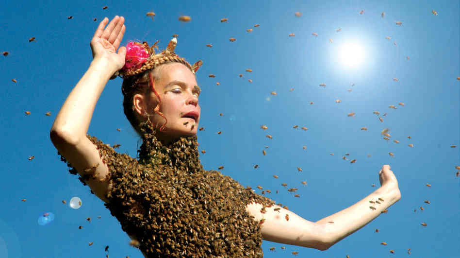 ���� ������� - ���������� �� ������� �����