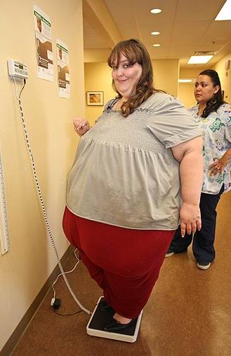 ������ ���� - ���������� �� ������� �����