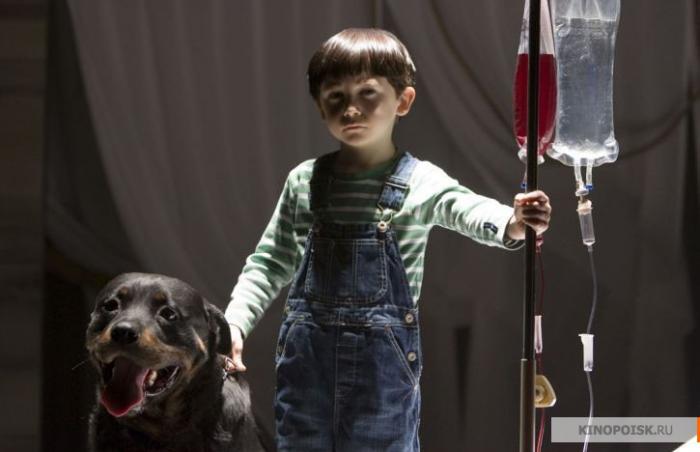 ������ ���� - ���������� �� ������� �����