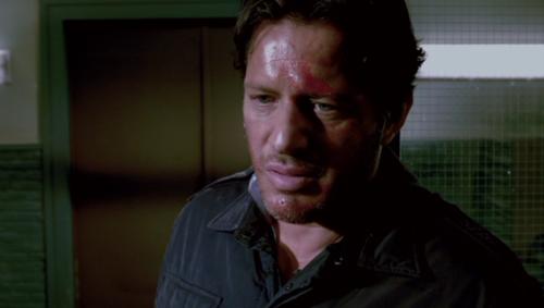 ���� ������� - ���������� �� ������� �����