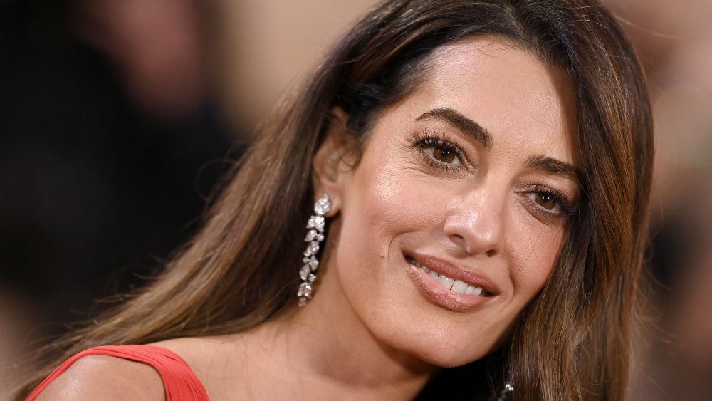 ������ ������� ����� �����: ���� �� 23 ������� �������� �������� ������