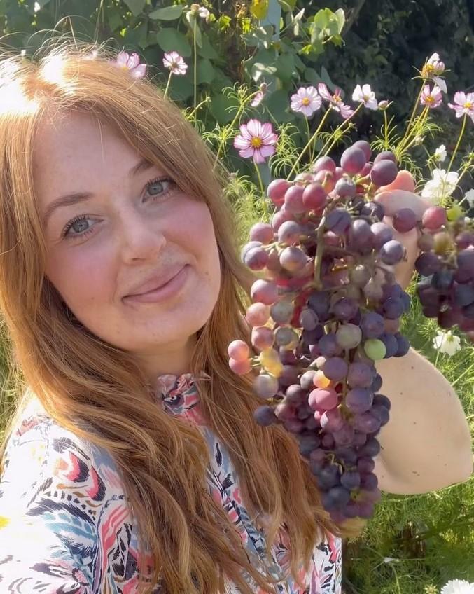 ������������ �������, Hayleys Lottie Haven, �������. ���� �������