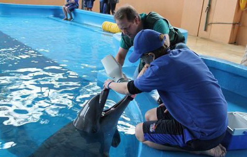 ������� ��������