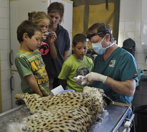 ������� ��������