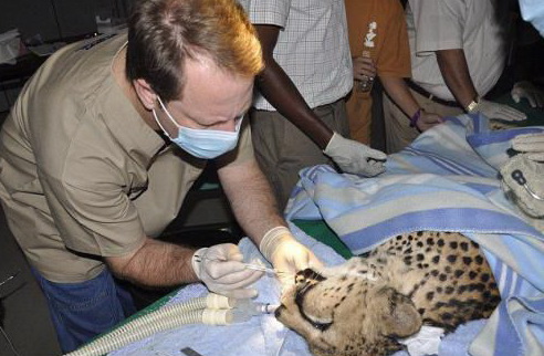 ������� ��������