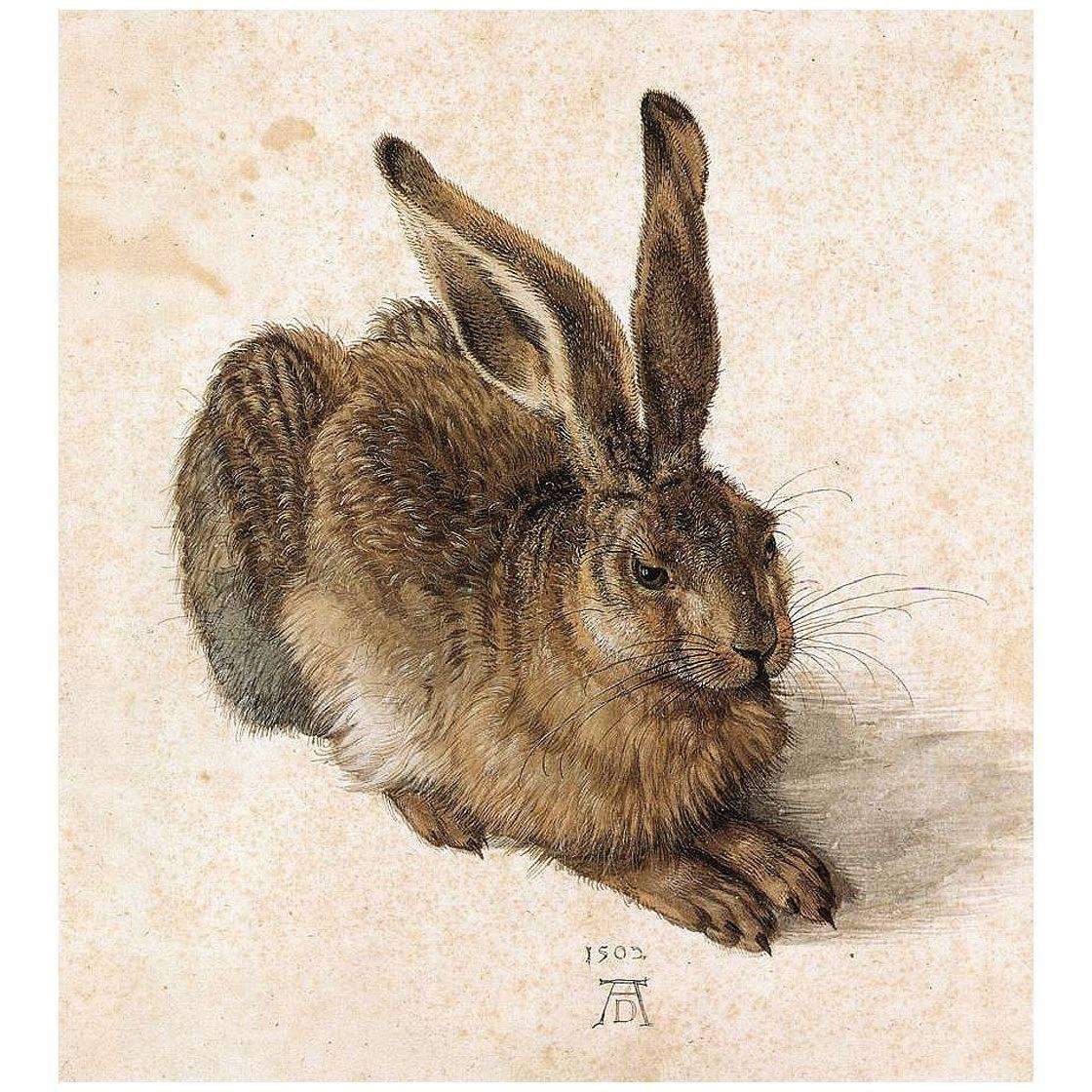  Albrecht Durer. Young Hare. 1502. Albertina Wien