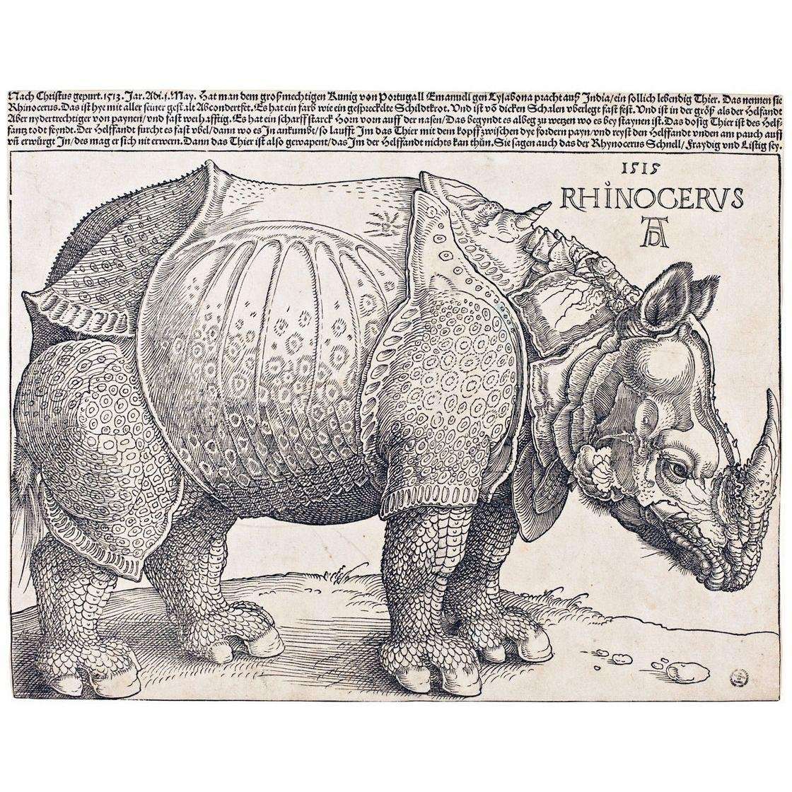  Albrecht Durer. The Rhinoceros. 1515. British Museum London