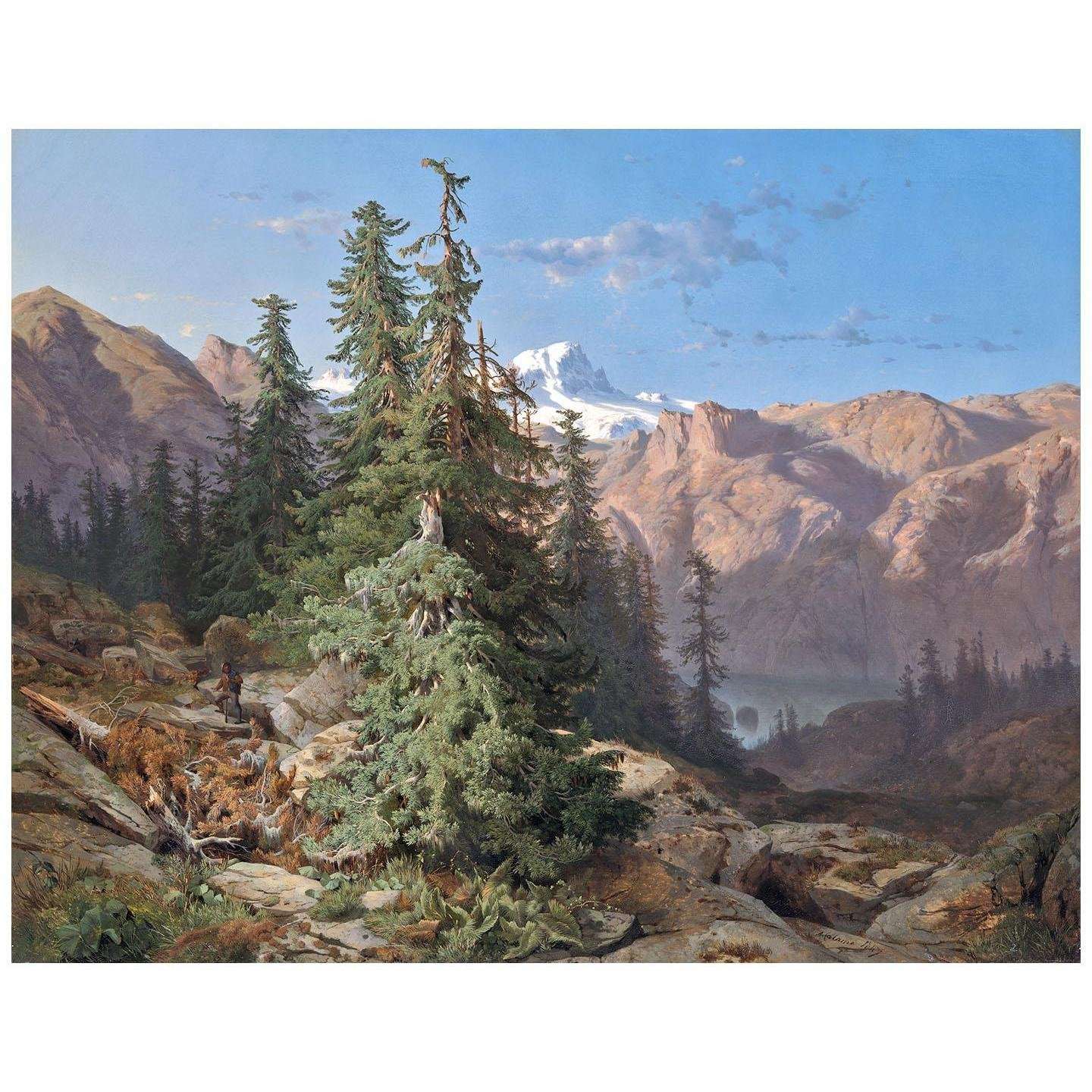  Alexandre Calame. Dans l'Oberland Bernois. 1847. Amsterdam Museum