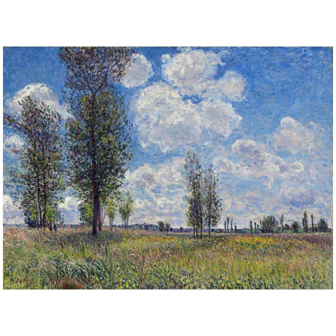  Alfred Sisley. Prairie a Veneux-Nadon. 1881. Palazzo Barberini Roma